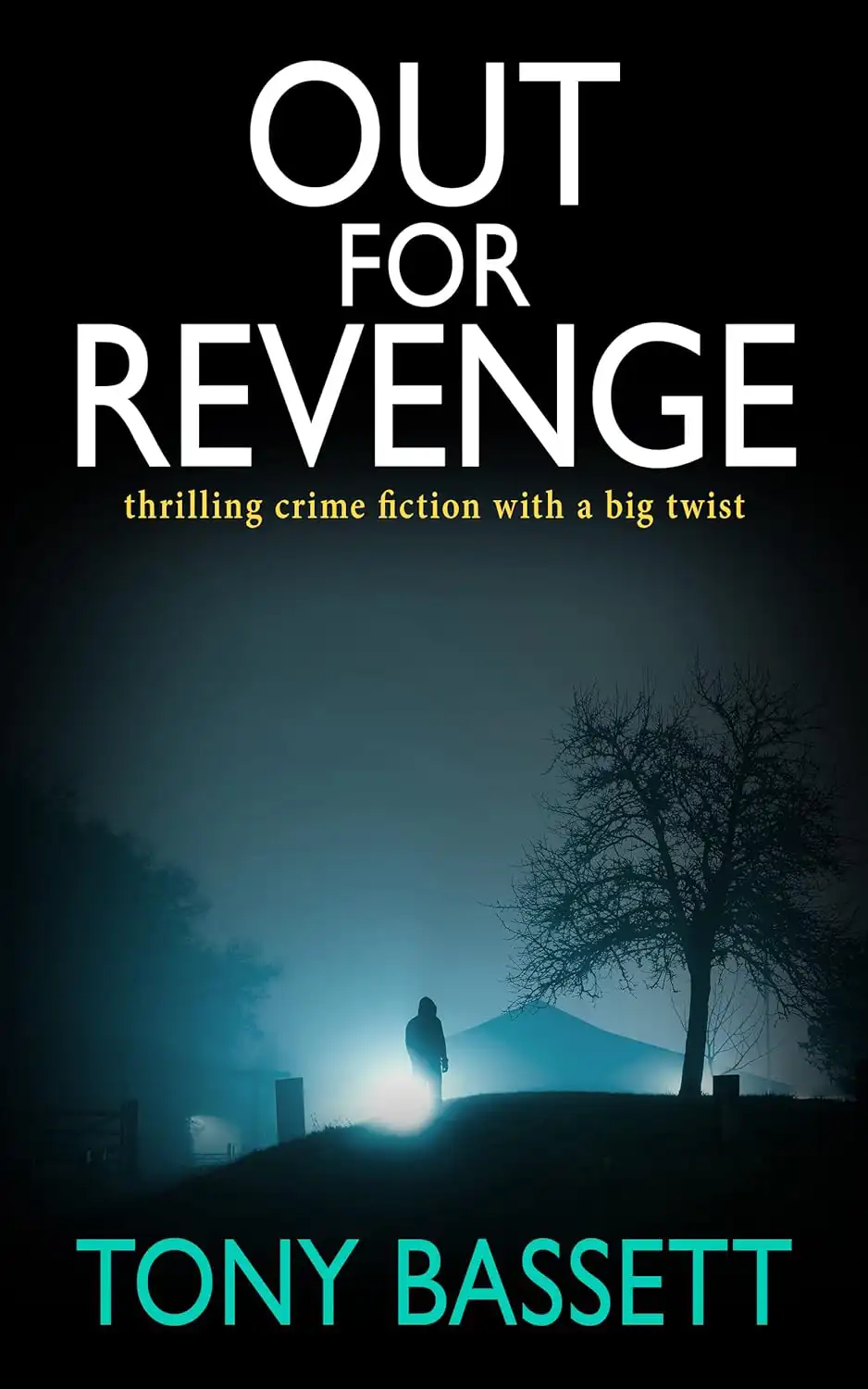 Front cover of the book Out for Revenge by Tony Bassett